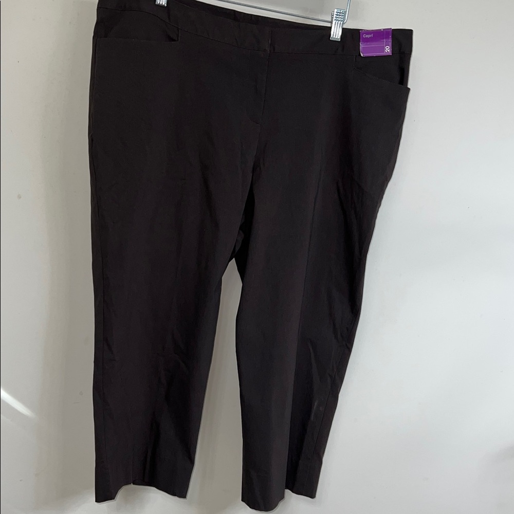LANE BRYANT 20 Chocolate Brown Capri Stretch Pants